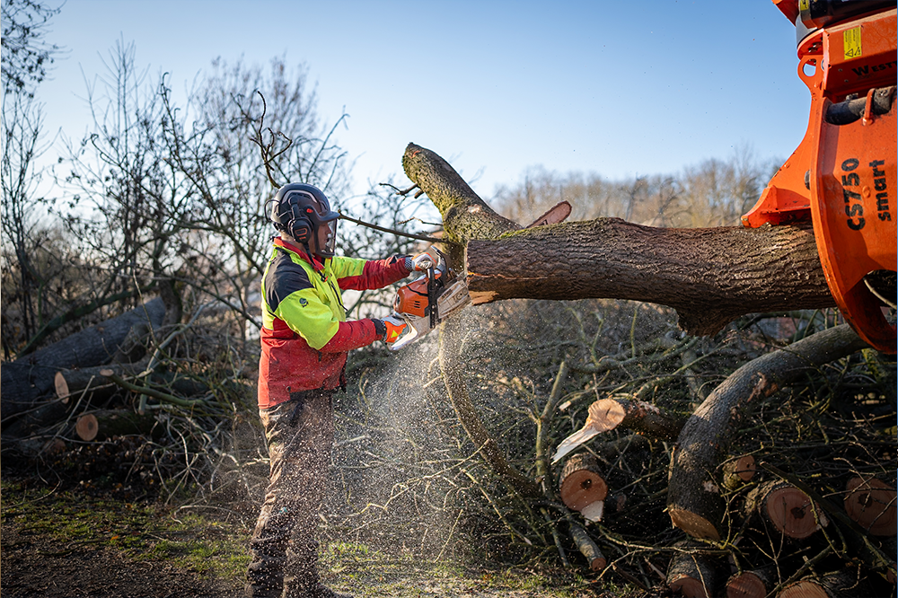 LatraTec-Baumfaellung-Galerie-5