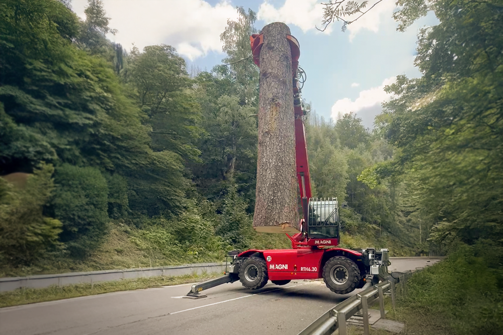 LatraTec-Baumfaellung-Galerie-8