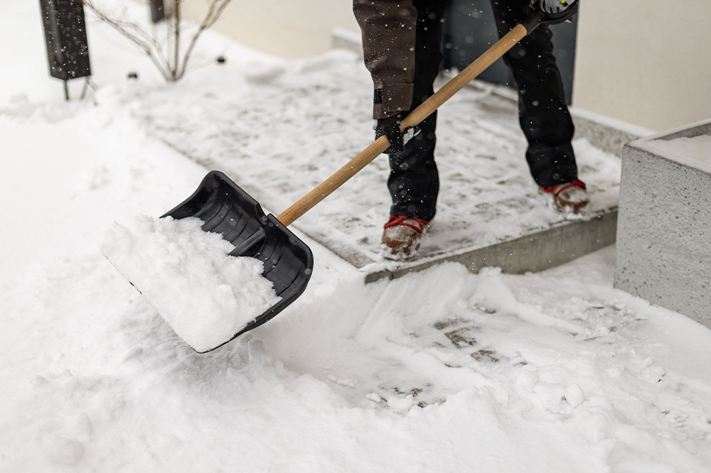 LatraTec-Grundstueckspflege-Galerie-11-2