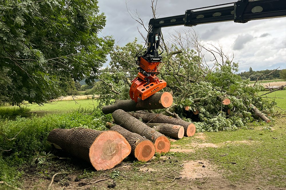 LatraTec-Grundstueckspflege-Galerie-2