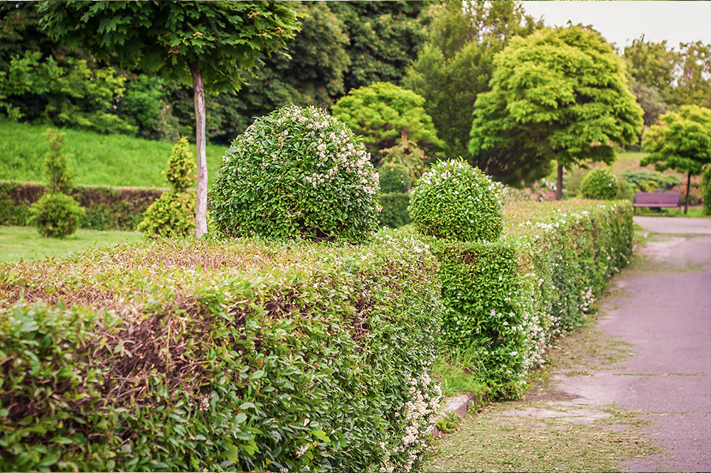 LatraTec-Grundstueckspflege-Galerie-7