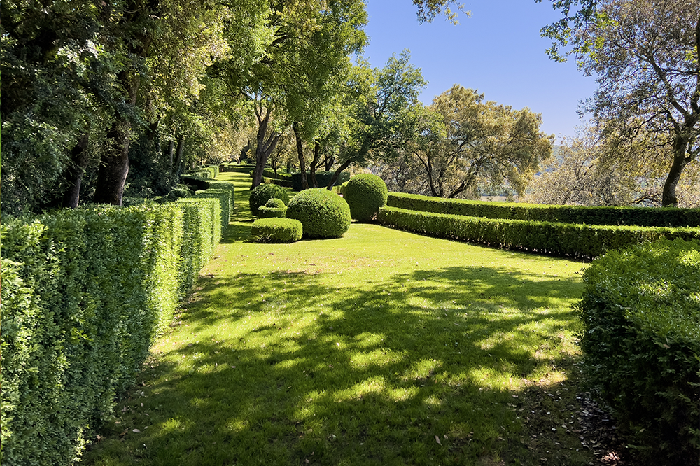 LatraTec-Grundstueckspflege-Galerie-8