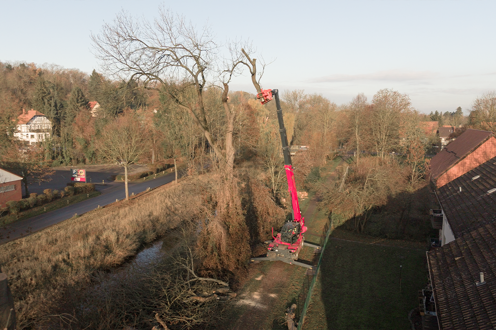 LatraTec-Problembaumfaellung-Galerie-1