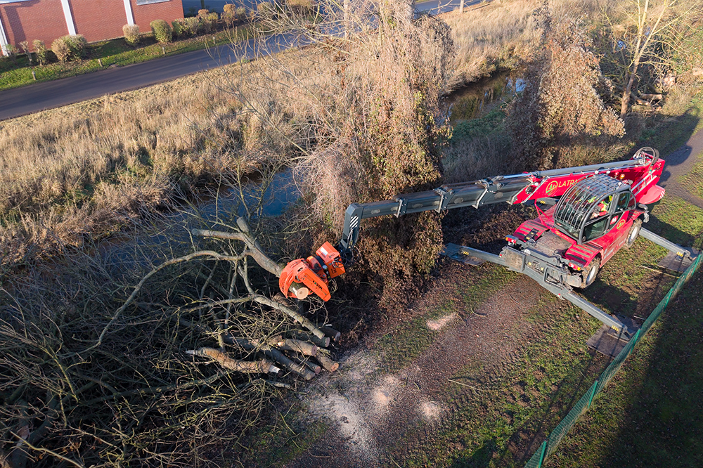 LatraTec-Problembaumfaellung-Galerie-2