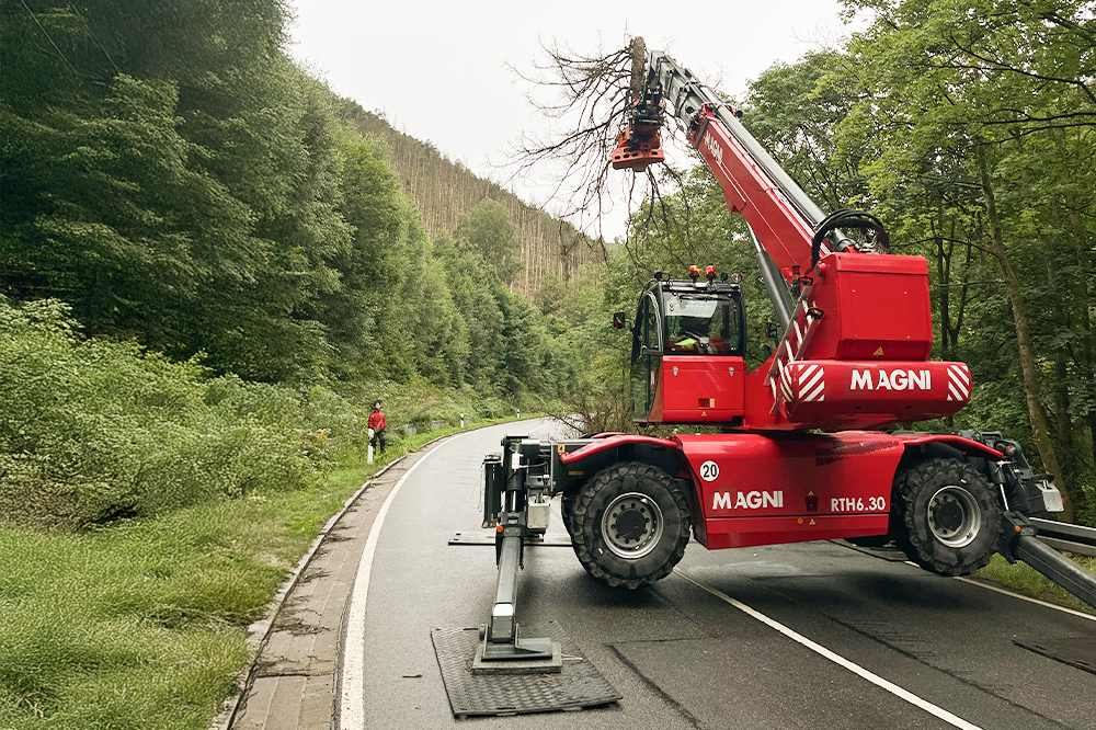 LatraTec-Problembaumfaellung-Galerie-3