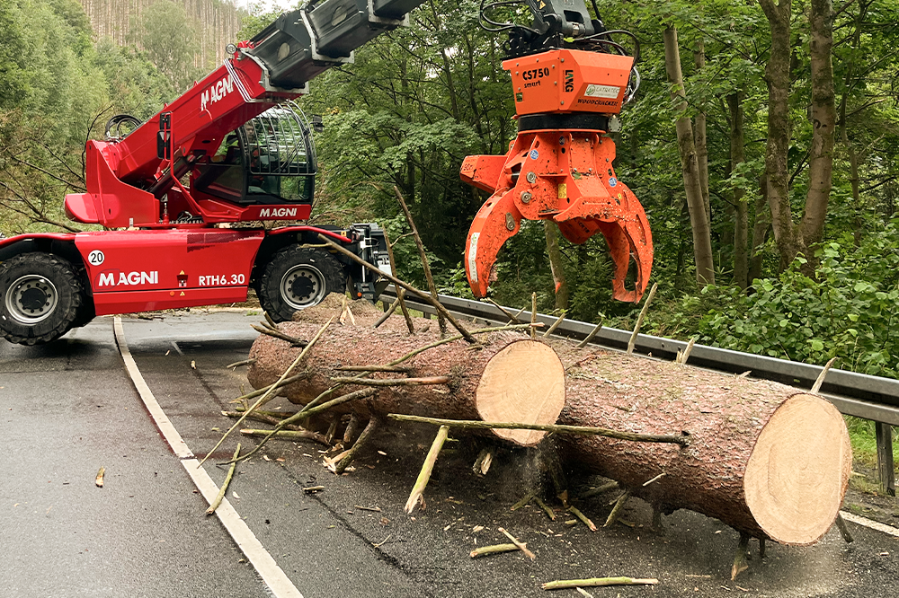 LatraTec-Problembaumfaellung-Galerie-4