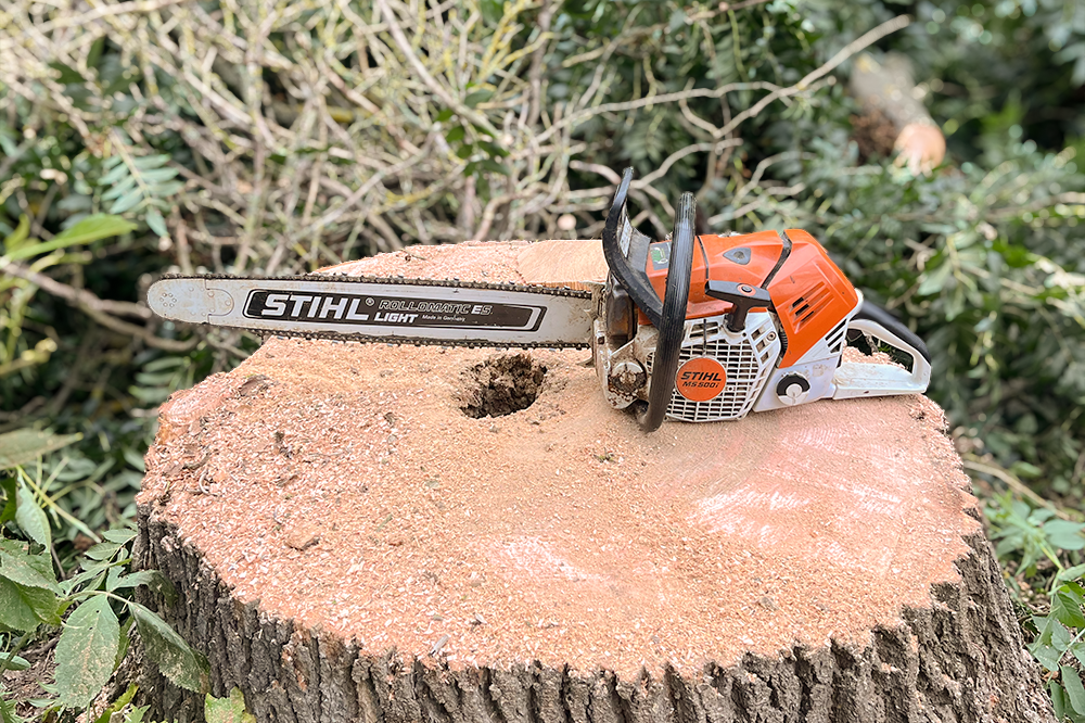 LatraTec-Problembaumfaellung-Galerie-5